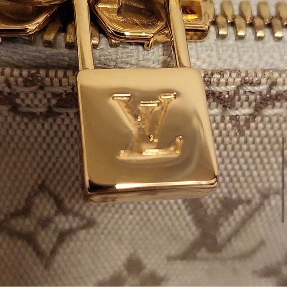 Louis Vuitton RARE ❤️ bag - Picture 4 of 7